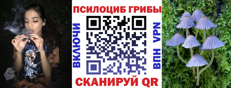 Галлюциногенные грибы мицелий  KRAKEN зеркало  Пласт 